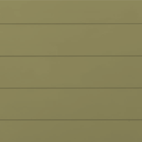 RAL 1020 Smooth Gloss 80% 29-29020-1